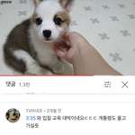 와 이 뽀시래기 엌덕하냐 조카 귀엽잖아