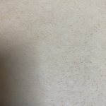 아 ㅅ ㅂ나 <b>배털</b> 개지람