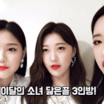 팬 아니면 얼굴 구분 <b>난이</b>도 있는 조합