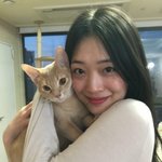 [드루와] <b>설리</b> 좋아하지도 않았으면서 <b>설리</b> 사진 올리는거