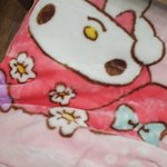 내 <b>담요</b> 귀엽징