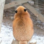 독서실에서 <b>한숨</b>쉬는거 어때
