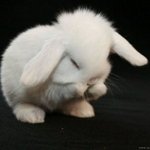 [드루와] 나 복<b>콘데</b>