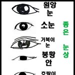 [모두드루와] 이준기 <b>봉황</b>닮음ㅇㅇ