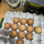 [트레저] <b>달걀</b>로