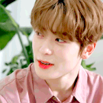 [NCT] [ 201014 ] 떡밥 정리해줄게 우리 즈니들은 보기만...