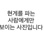 <b>호모</b>녀들 이거 봤노 ㄹㅈㄷ