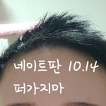 [드루와] 주작 <b>박제</b> 영원히 <b>박제</b>