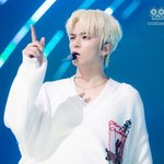 [트레저] 근데 아사히 있자나