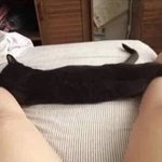 [댓글부탁해] 나 구라 안치고 여장하면 혜리, <b>쯔위</b> 닮음