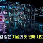 [NCT] 이거 어디서 보는거야??