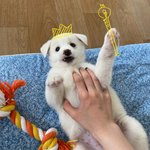 [NCT즌] 사담) 일하는데 <b>심심</b>해서..ㅎ 우리애기보구강