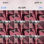 아날로그<b>필름</b> 왜이래 진짜?