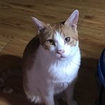 <b>복</b>순복<b>돌</b> 그들의 취미