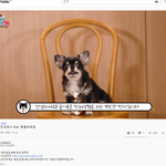 강아지보고 스타벅스<b>커피</b>도 받아가세요