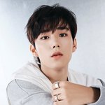 <b>피원</b>하모니 인탁 자켓 포스터