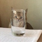 근데 <b>sf9</b>은 세계관이랑 노래 장르가 뭐야?