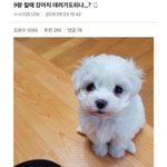 <b>니</b>네 요즘 <b>옷</b> 뭐입냐 겉에??