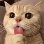 [댓글부탁해] 턱<b>드름</b> 개 ㅆ발