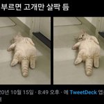 [TXT모아] <b>연주</b>나..8ㅅ8