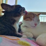 <b>민사</b>고 쓰는거 어떻게 생각해