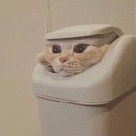 급한데;; 애들아 교복에 스타킹