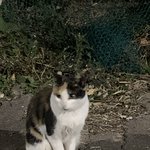 애들아 나 ㅅㅂ<b>개울</b>고싶다