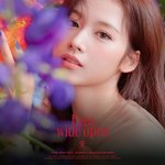<b>사나</b> 개이뻐
