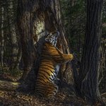 그림이라 믿는게 더 나을 것 같은 찐<b>야생</b>