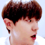 엑소 <b>찬열</b>