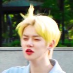 [TXT모아] ❣ 모아톡은 짤 안줘용 ❣