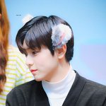 [TXT모아] ❣ 모아톡은 짤 안줘용 ❣