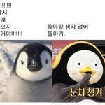 [ㅈㄱㄴ] 아빠가 너네 뭐라고<b>부름</b>?