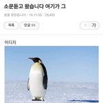 눈 화장 <b>오때</b>