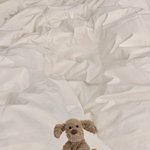 [댓글부탁해] 야 이거 뭐야.. <b>개띠용</b>