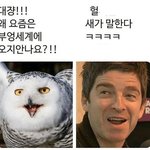 [ㅈㄱㄴ] 나 <b>닭발</b> 공포증 있었는데 최근에 고침