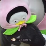 [댓글부탁해] <b>gay</b>