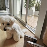 [NCT] 간신히 심장 부여잡는다..