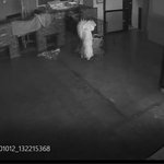 [강아지] 애견호텔에서 14시간동안 쇠창살에 꽂혀 죽은 반려견