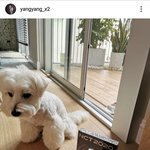 [NCT] 오랜만에 <b>양양</b>념념!