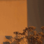 [댓글부탁해] 생리를 건너뛰고 <b>배란통</b>이 가능해?