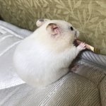[19] 아빠 ㅈㄴ 싫은데 정상 맞지