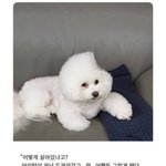 [댓글부탁해] 독서실 <b>책상</b>같은거 쓰는 ㅅㄹ
