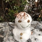 코스트코 <b>갈일</b> 생기면