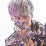 [펜타곤] 안녕 오늘 톡선글에 <b>옌안</b>이최애인사람ㅎ,,나였어,,
