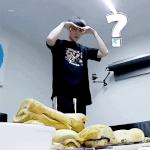 [EXO] 다들 <b>어디</b>감?