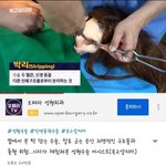 턱 깎고싶은 애들아