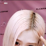 로제 <b>영통</b>팬싸 하다가 울었대