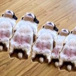 [빅톤] 야 이거 웃기다ㅋㅋㅋㅋ