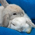 [하고싶은<b>말</b>] <b>속</b>마음이 새어나갈까봐